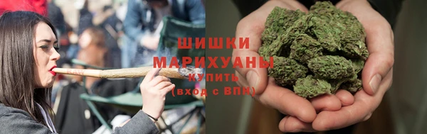 PSILOCYBIN Вяземский